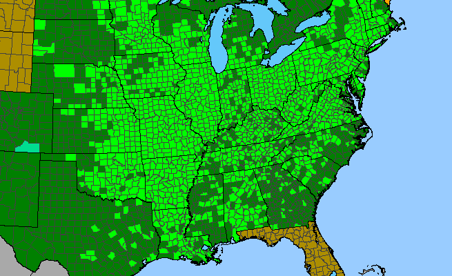 The range of Ulmus rubra